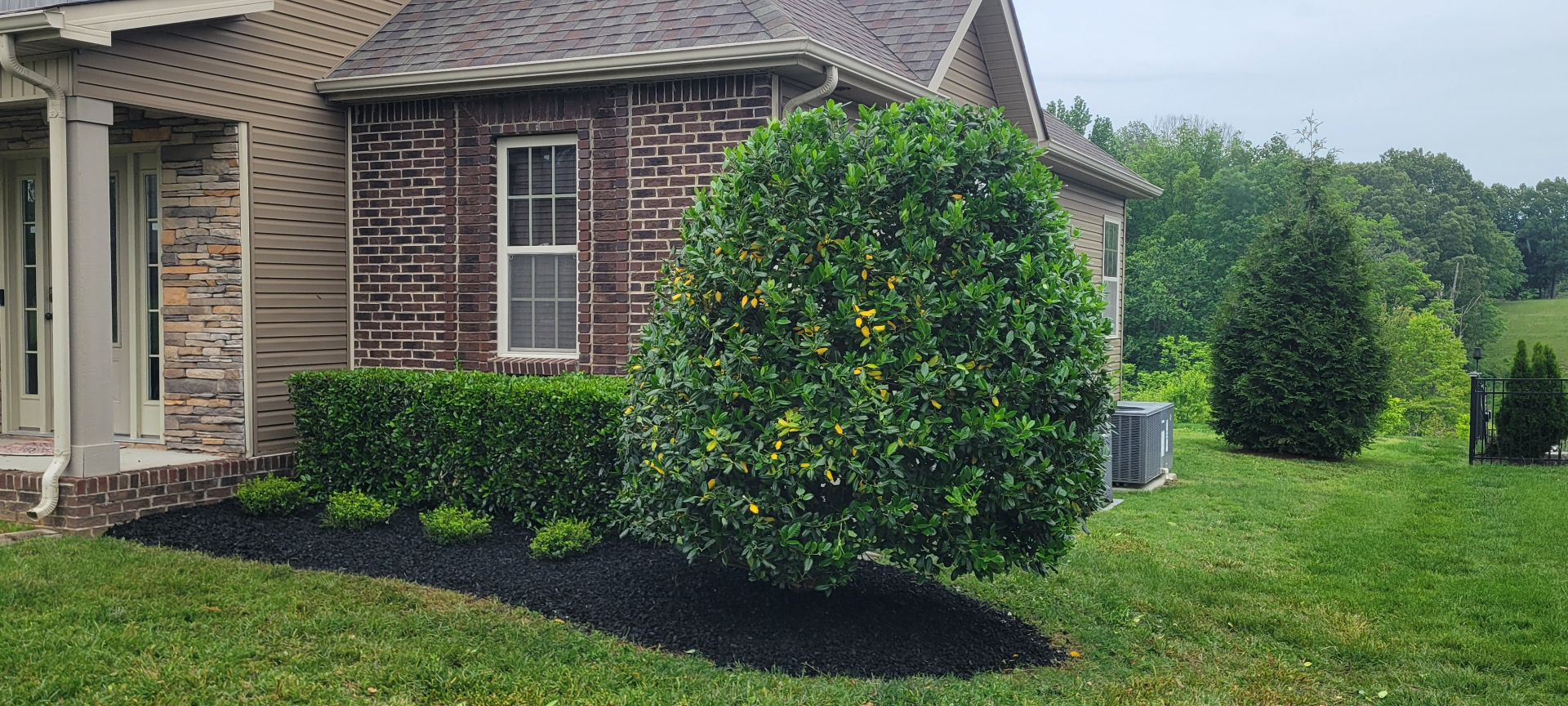 Freshly mulched and trimmed landscape after Green Sky Solutions cleanup